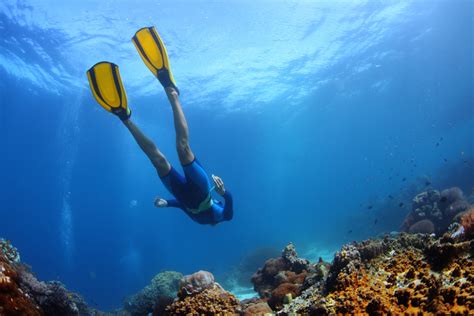 Make Waves with Magical Snorkeling Equipment